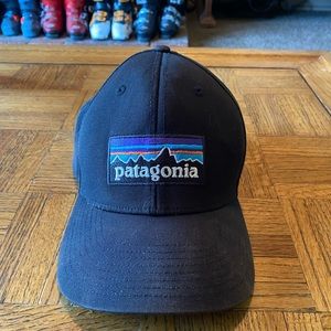 Patagonia SnapBack